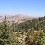 Shouf Cedars Reserve